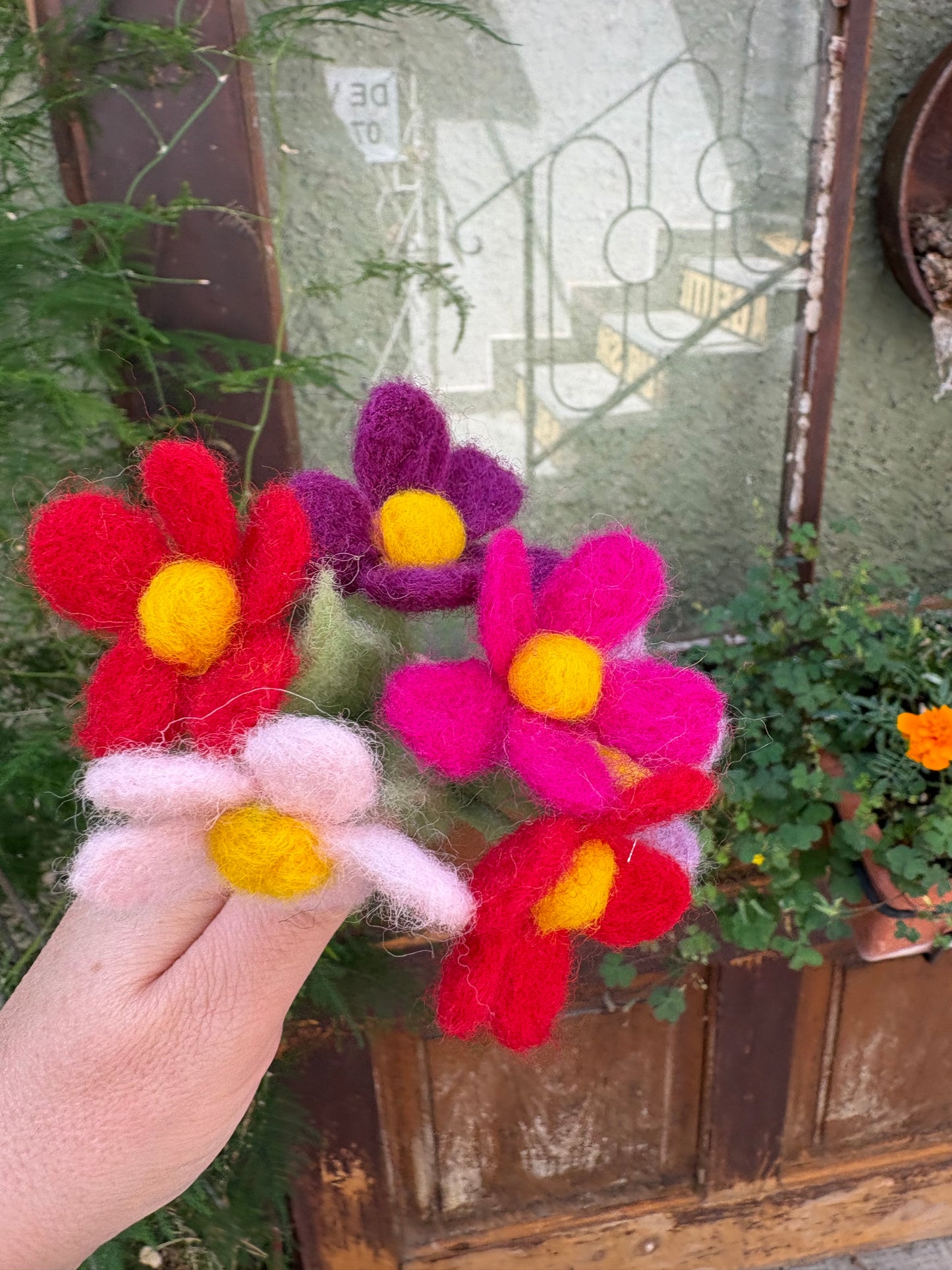 Buchet 5 flori